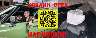 гидра Краснознаменск