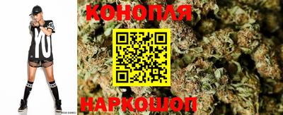 гидра Краснознаменск