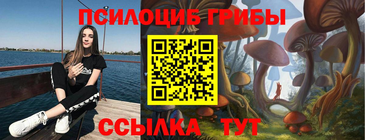 Петропавловск-Камчатский  Псилоцибиновые грибы Psilocybine cubensis  Вход с VPN 